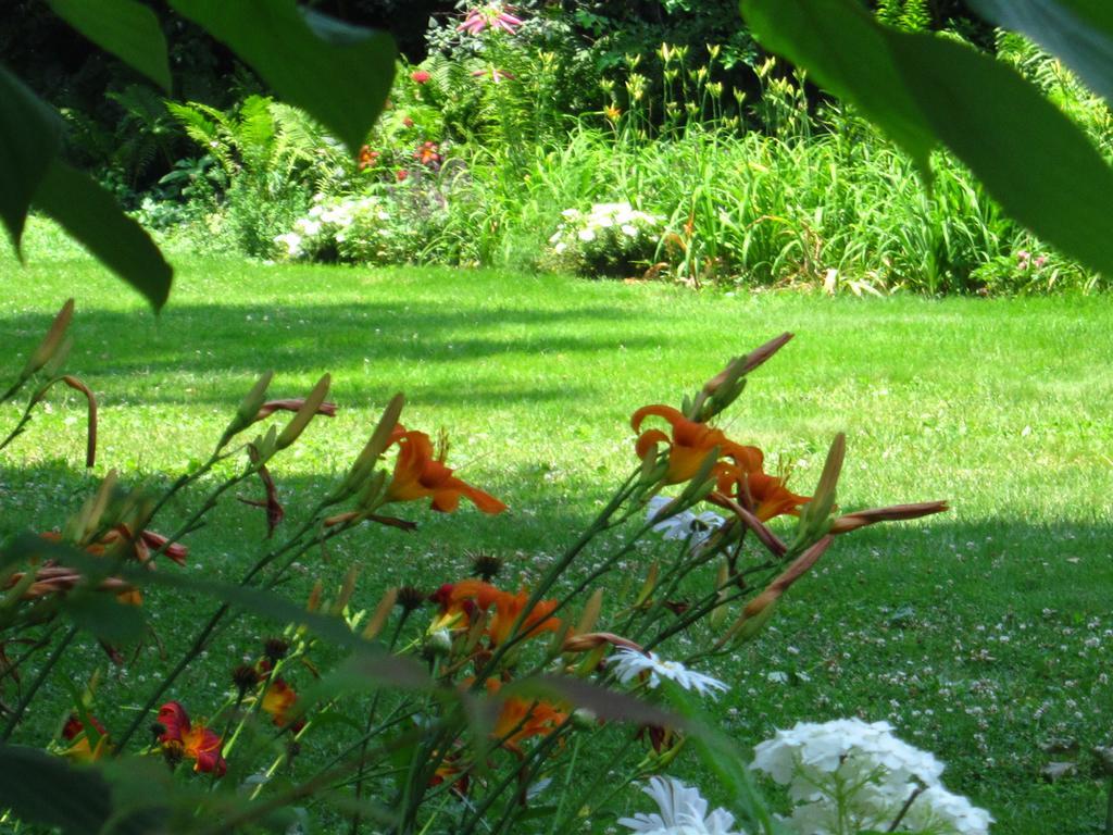 Baldwinsville Bed And Breakfast Eksteriør bilde